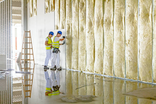 Best Commercial Insulation in Fort Mill, SC